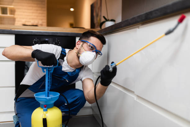 Trusted Colby, WI Pest Control Experts