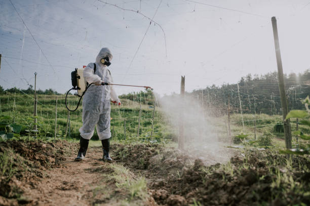 Best Mosquito Control Services  in Colby, WI